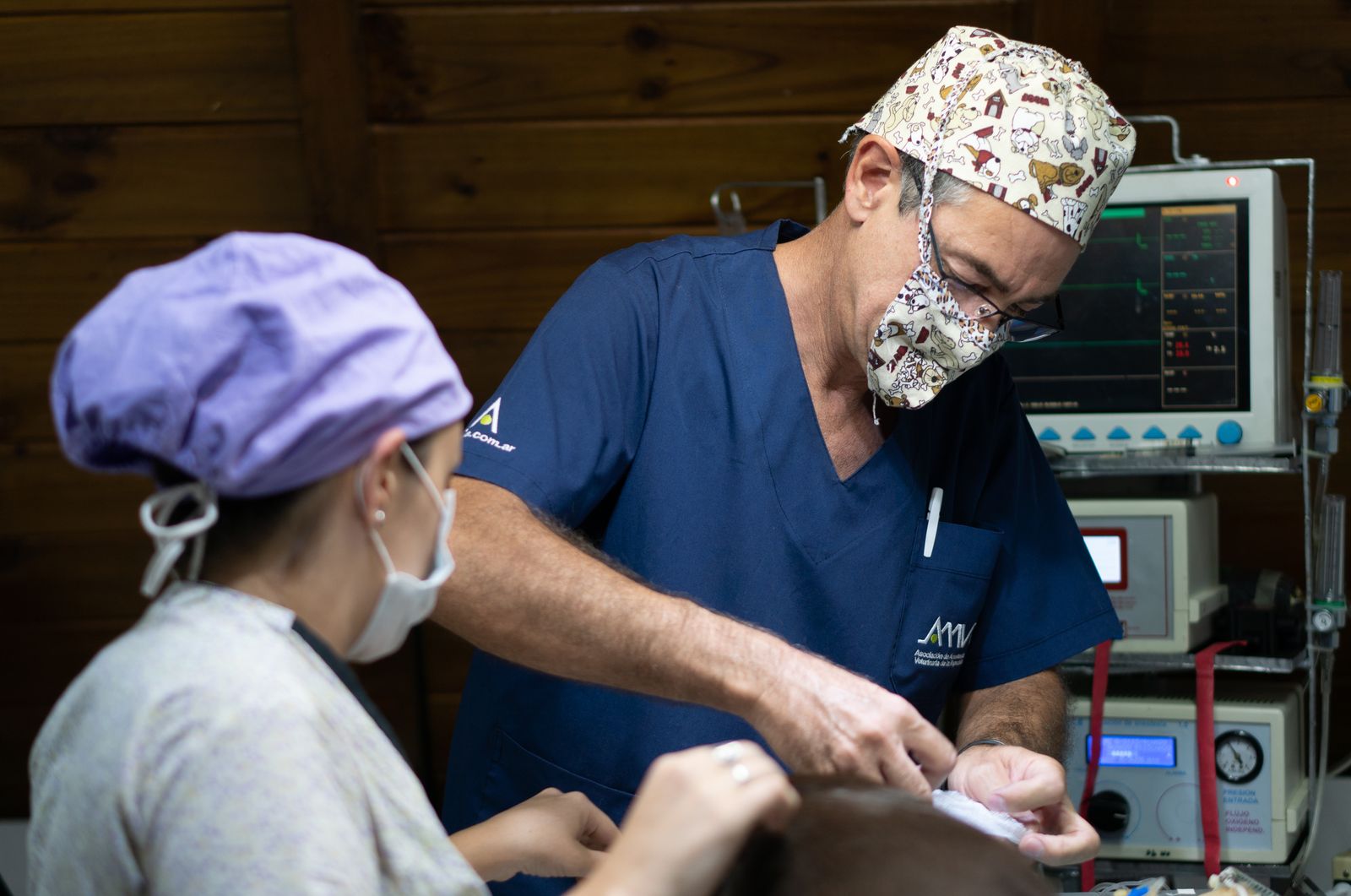 Endoscopy at Tropicana Animal Hospital