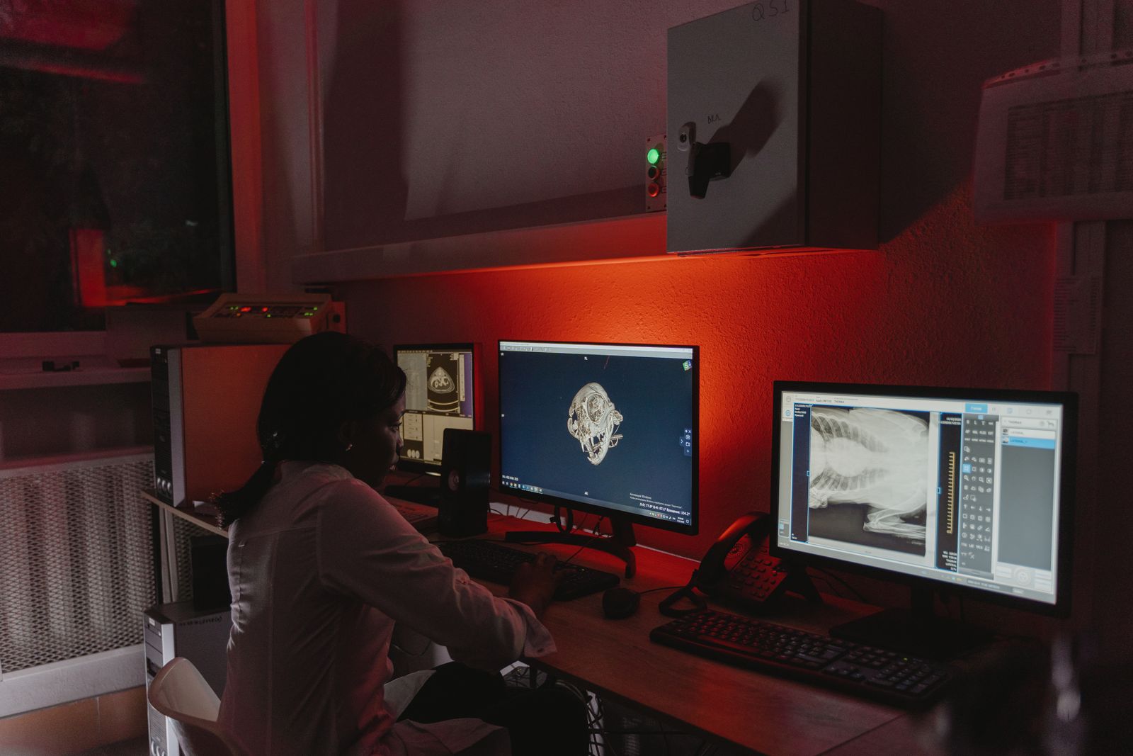 Radiology at Tropicana Animal Hospital