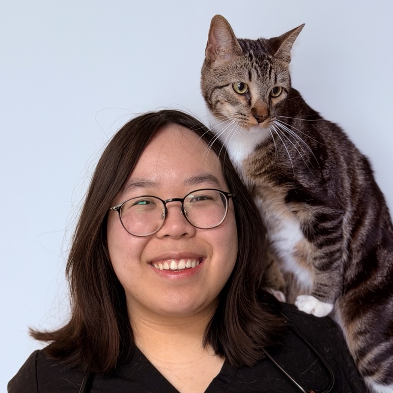 Dr. Fiona Deng, veterinario en Tropicana Animal Hospital