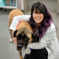 Dr. Samantha Lee, veterinario en Tropicana Animal Hospital