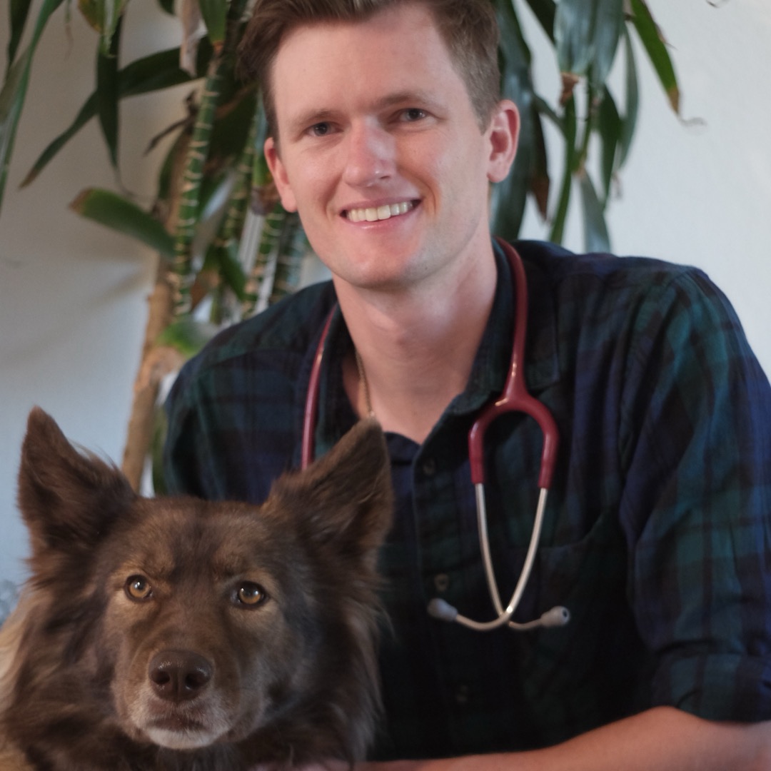 Dr. Stephen Williams, veterinario en Tropicana Animal Hospital